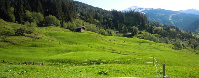 natur